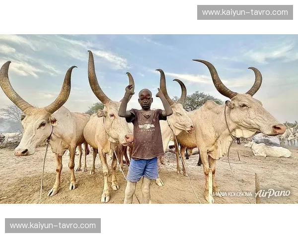 狮王之争:苏丹与南非,谁是赤道以南的真正王者?